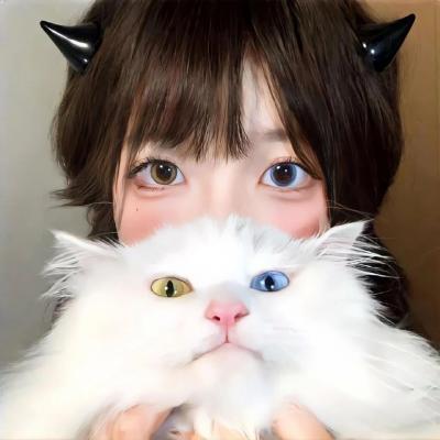 奇换之旅美梦成真